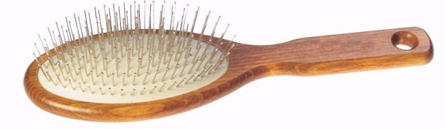 Brosse coussinée, gros, oval